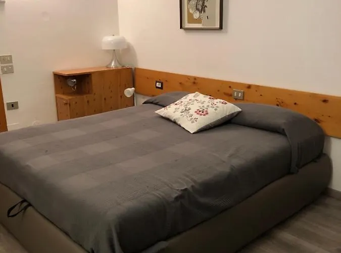 Sweet 브루일서비니아