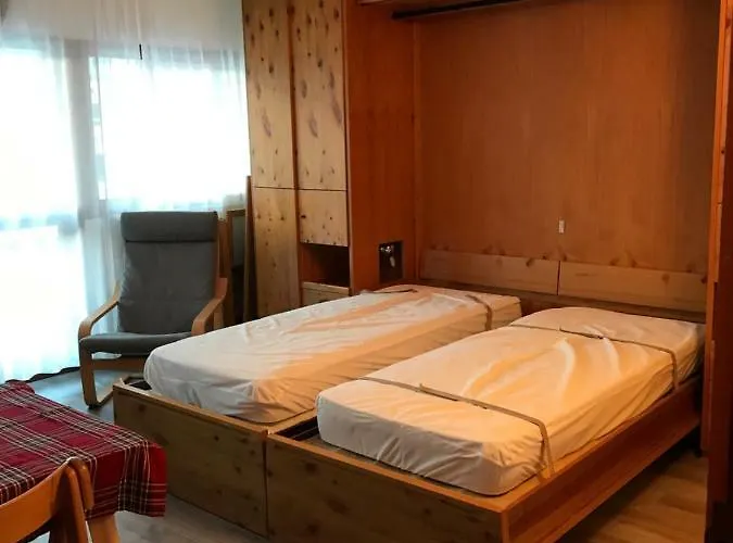 Sweet 브루일서비니아