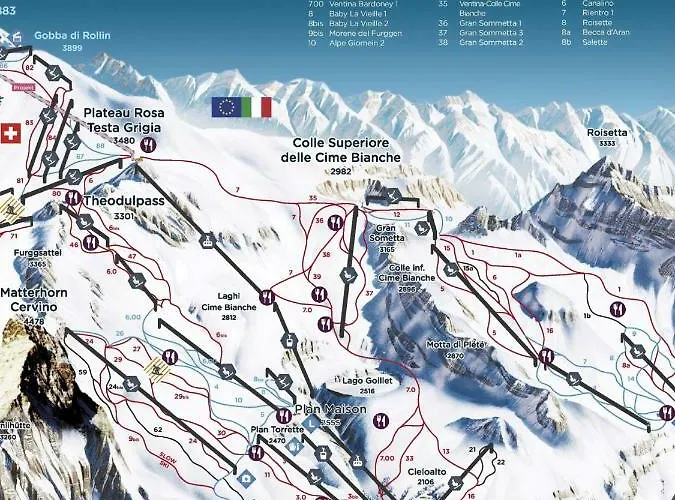 Sweet * 브루일서비니아